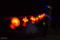 DB2018 - Xiaofang SUSKITA photography (9)