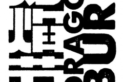 10010816_310318679125549_2241990569177863184_o