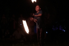 Fire Show - Picture by Kassandra Dambacher-Willis