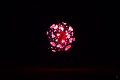 Processed with VSCO with l6 preset